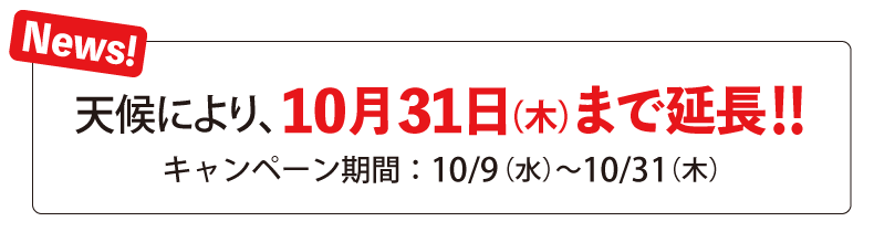 キャンペーン期間 天候により、10月31日（木）まで延長 横浜建物