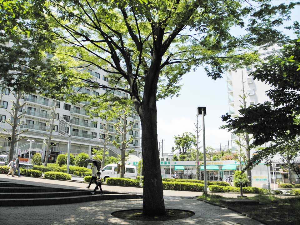 東戸塚駅東口への緑豊かで広々とした歩道 横浜建物