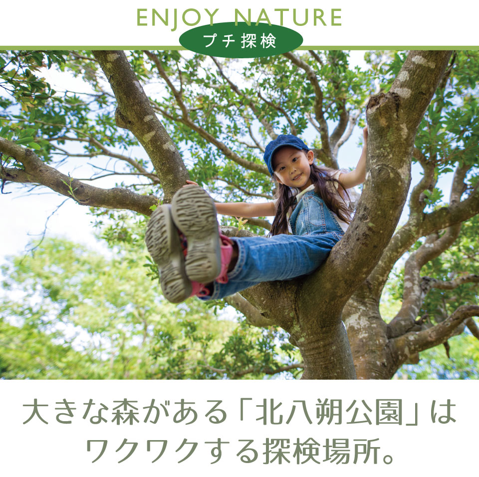 プチ探検