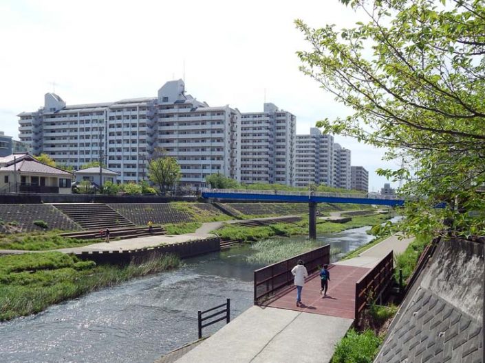 柏尾川プロムナードでマラソンをする親子 横浜建物