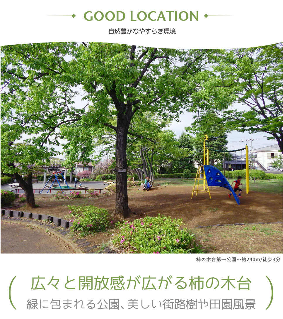 自然豊かなやすらぎ環境 自然豊かなやすらぎ環境