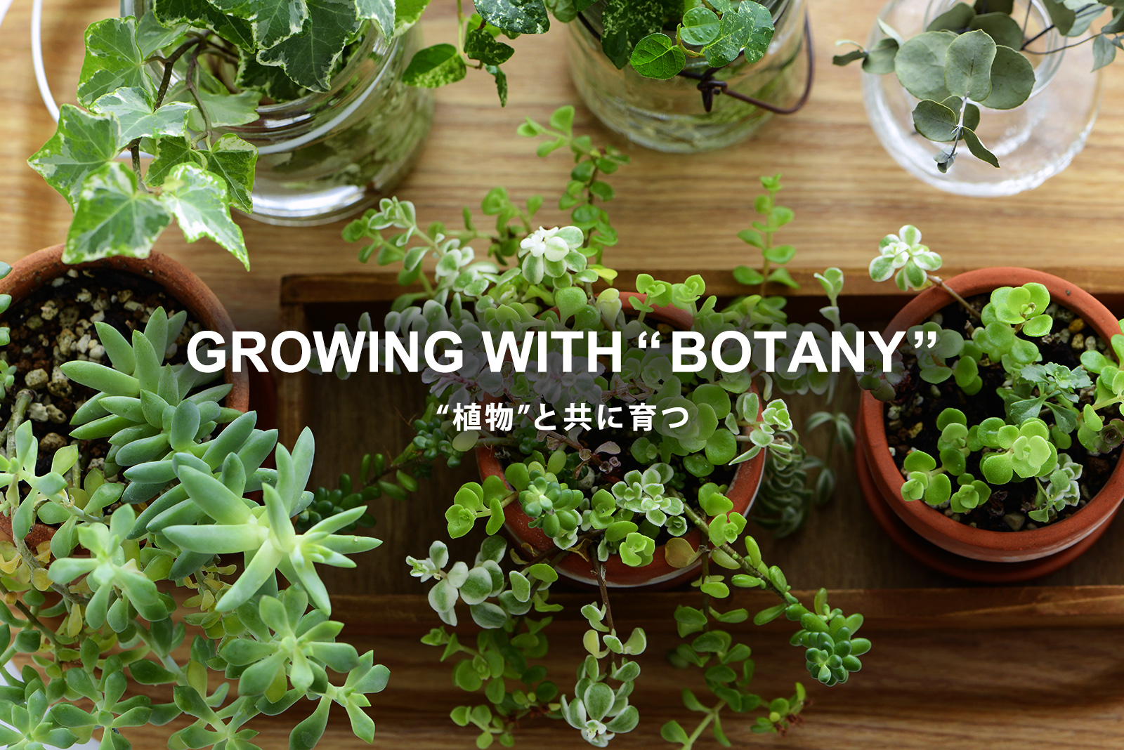 growing with botany 植物と共に育つ