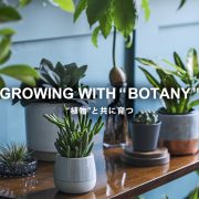 growing with botany 植物と共に育つ リビング