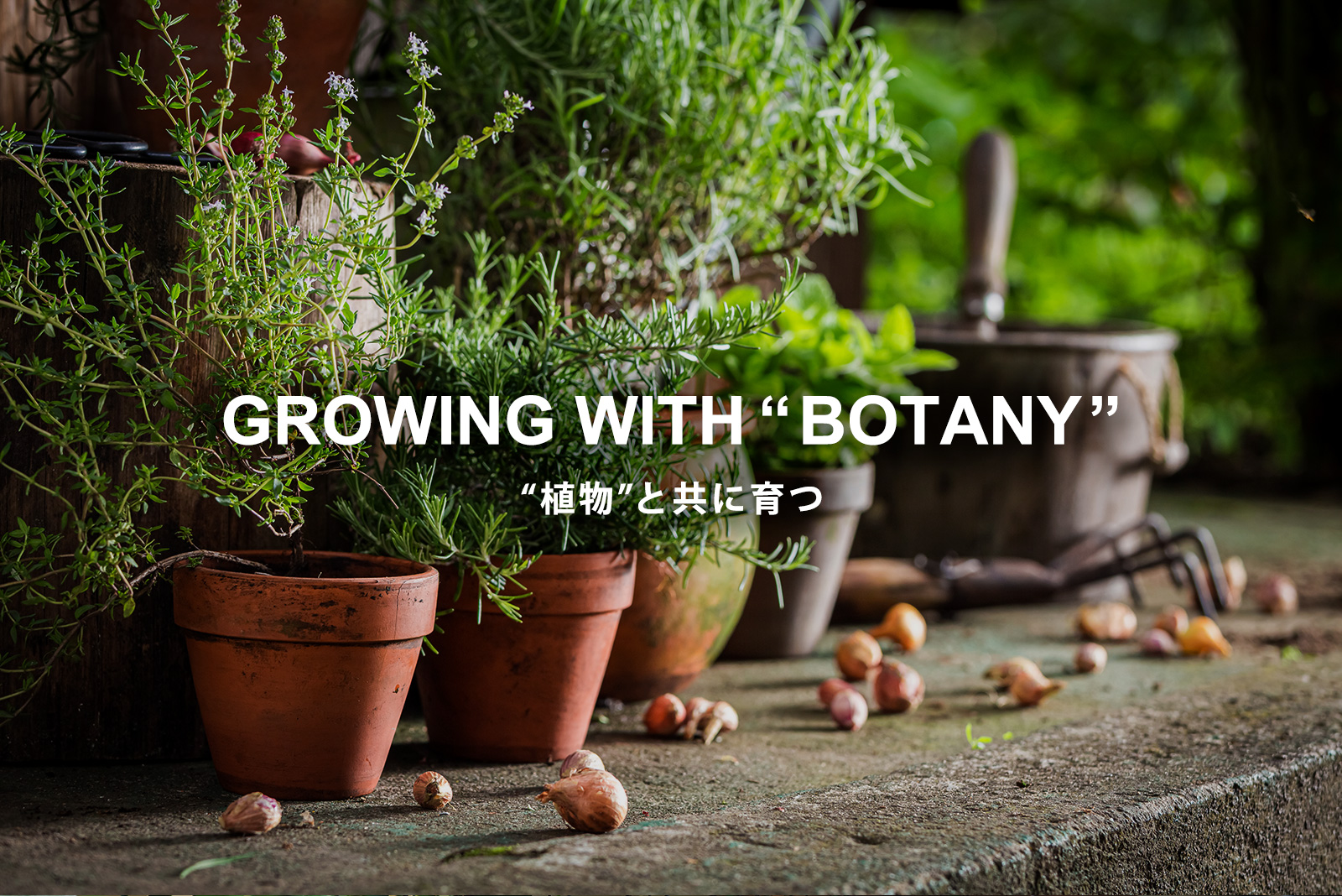 growing with botany 植物と共に育つ ガーデニング