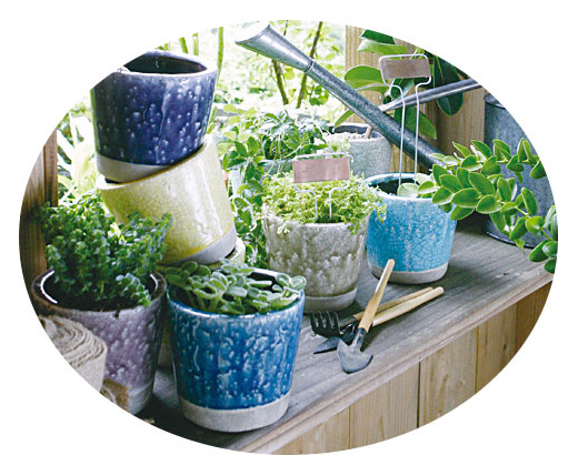 植物に囲まれたやさしい暮らし 植物に囲まれたやさしい暮らし