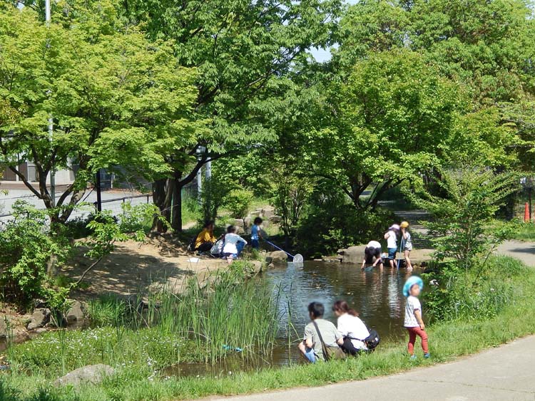 谷矢部池公園 水遊び池